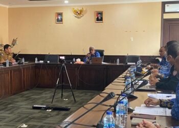Kemenkominfo Evaluasi Masterplan Smart City Pemkab Mimika Via Zoom