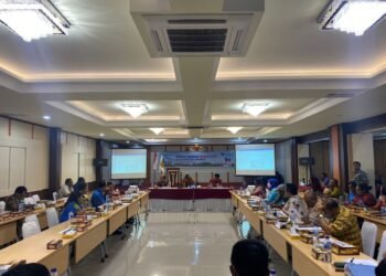 Rapat Dewan Smart City, Plt Bupati Mimika Tekankan Koordinasi Semua Pihak