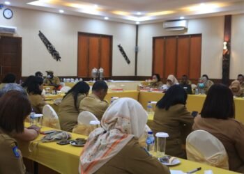 DPMPTSP Mimika Gelar FGD Penyusunan Naskah Akademik Rancangan Perda Tentang Retribusih Perizinan