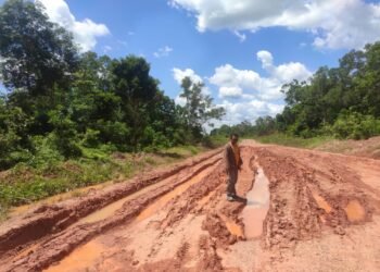 Dalam Waktu Dekat Pemkab Mappi Rekontruksi Jalan Kepi-Mur dan Kepi-Waemeaman