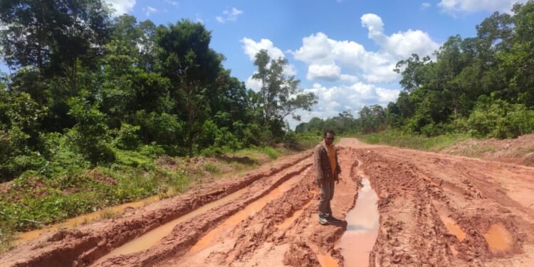 Dalam Waktu Dekat Pemkab Mappi Rekontruksi Jalan Kepi-Mur dan Kepi-Waemeaman