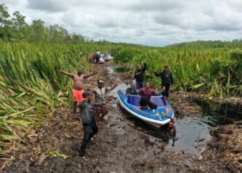 Bulan Ini Pemkab Mappi akan Bersihkan Tebu Rawa Sepanjang Sungai Weldeman