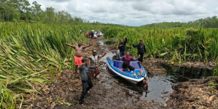 Bulan Ini Pemkab Mappi akan Bersihkan Tebu Rawa Sepanjang Sungai Weldeman