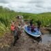Bulan Ini Pemkab Mappi akan Bersihkan Tebu Rawa Sepanjang Sungai Weldeman