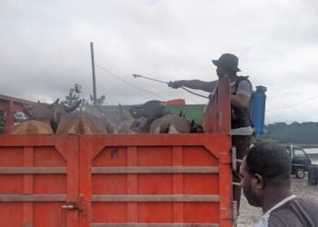 Cegah Penyebaran Penyakit, Karantina Pastikan Kesehatan Hewan Kurban Jelang Idul Adha