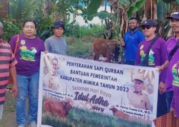 Warga Muslim Flobamora Terima Satu Ekor Sapi dari Pemkab Mimika