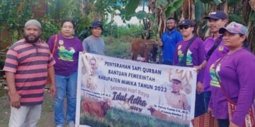 Warga Muslim Flobamora Terima Satu Ekor Sapi dari Pemkab Mimika