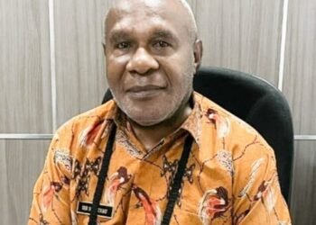 Dinkes Mimika Usul 1757 Formasi PPPK Nakes Tahun 2023, 912 bagi yang Sudah Punya SK Kontrak dari Pemkab, 845 untuk Umum, Ini Formasi Lengkapnya