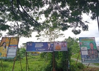 APK Bertebaran di Lokasi yang Tidak Diperbolehkan, Pandis Wania Beri Peringatan