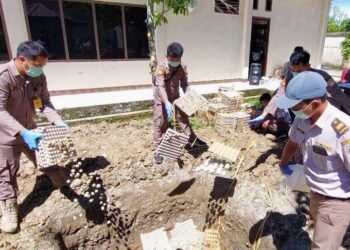 Tak Patuh Karantina, 250 Kg Telur Dimusnahkan di Timika