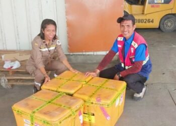 Tak Patuh Karantina, Enam Box Benih Sayuran Ditolak