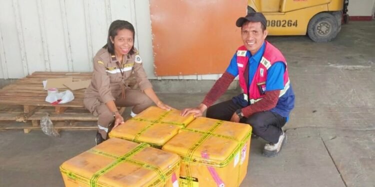 Tak Patuh Karantina, Enam Box Benih Sayuran Ditolak