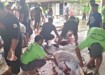 Kunjungi Lokasi Penyembelihan Hewan Kurban di Masjid LDII, Bupati Mimika: Bersih dan Rapi