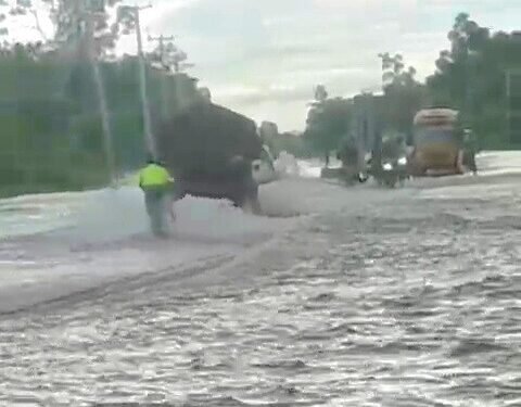 Kali Tiga di Jembatan Kembar SP 5 Mimika Meluap, Air Genangi Jalan Raya