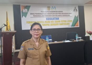 Masih Terjadi Ketidaksetaraan di Berbagai Bidang, Kementerian P3A akan Bentuk Lembaga Penyedia Layanan Pemberdayaan Perempuan di Daerah