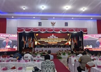 9112138d D58a 41c5 Bdae 7a04ee107755