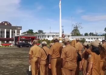 5139c802 C5c3 434b Ae50 77fd5db82b35