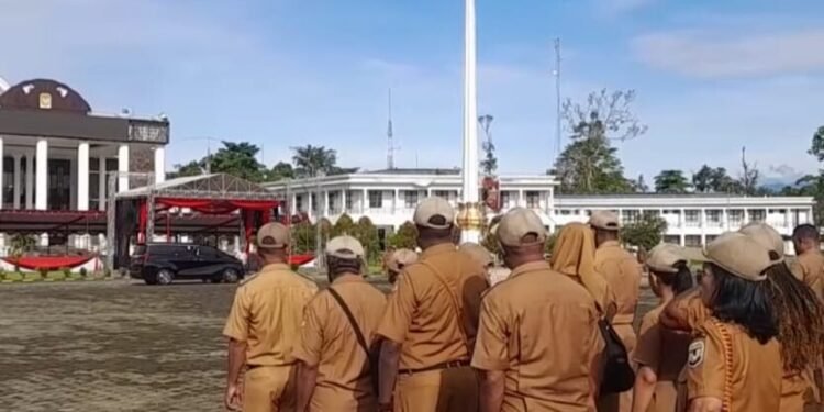 5139c802 C5c3 434b Ae50 77fd5db82b35