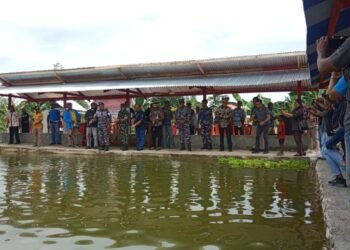 5c7654f0 7abb 43c5 A8f6 D9bc4514b9f2