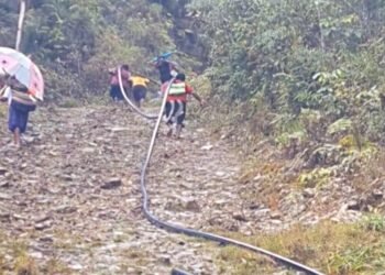 Screenshot 20250214 113556 Chrome