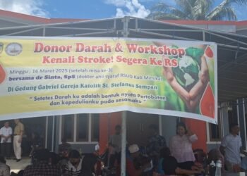 Screenshot 20250316 132631 Gallery