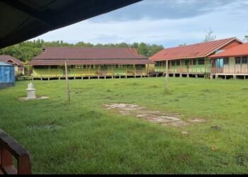 Screenshot 20250730 135940 gallery