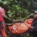 35 Personil Ditugaskan Khusus Menjemput Jenasah Korban Kecelakaan Pesawat ATR 42-500 Yang Masih Tertahan Ditebing