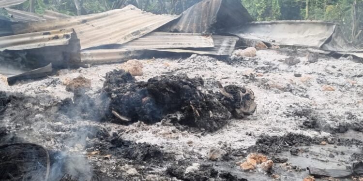 OTK Serang dan Bakar Pos Keamanan di Nabire, Ada Dua Korban Tewas Terbakar