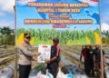 Dukung Ketahanan Pangan, Polres Mimika Laksanakan Penanaman Jagung Serentak Kuartal I Tahun 2026