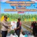 Dukung Ketahanan Pangan, Polres Mimika Laksanakan Penanaman Jagung Serentak Kuartal I Tahun 2026