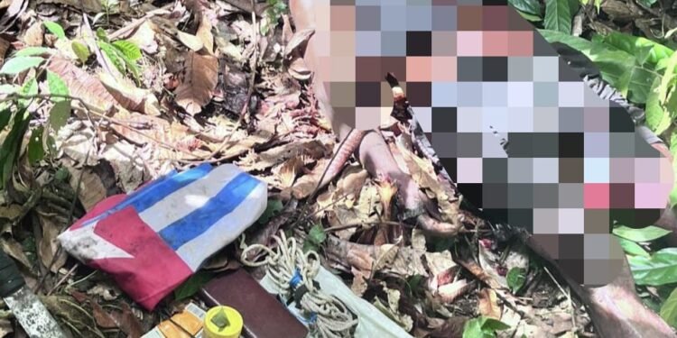 Aparat Gabungan TNI Polri Tindak Anggota KKB Pimpinan Aibon Kogoya di Bukit Signal Nabire