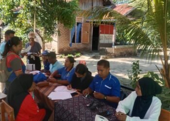 UPTD Puskesmas Loang Gelar Pemeriksaan Kesehatan Gratis dan Posyandu di Desa Babokerong Kecamatan Nagawutung