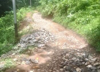 Proyek Jalan Aspal Desa Nampar Tabang Mangkrak, Warga Desak CV Gabriela dan Pemdes Diperiksa Aparat Penegak Hukum