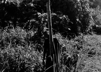 Perempuan Muda Asal Suku Kamoro Ditemukan Tak Bernyawa, Korban Diduga Bunuh Diri