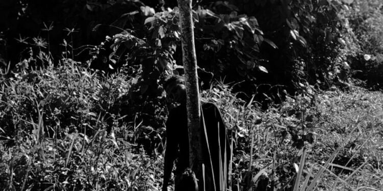 Perempuan Muda Asal Suku Kamoro Ditemukan Tak Bernyawa, Korban Diduga Bunuh Diri