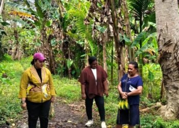 Anggota Majelis Rakyat Papua Pokja Perempuan Fibiolla Irianni Ohei Tetap Bekerja dan Gajinya Dikembalikan untuk Masyarakat