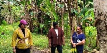 Anggota Majelis Rakyat Papua Pokja Perempuan Fibiolla Irianni Ohei Tetap Bekerja dan Gajinya Dikembalikan untuk Masyarakat