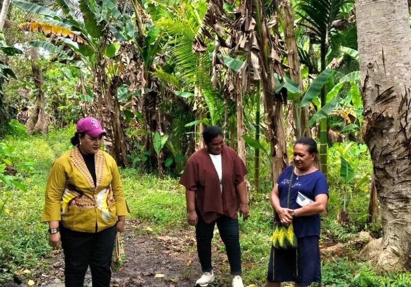 Anggota Majelis Rakyat Papua Pokja Perempuan Fibiolla Irianni Ohei Tetap Bekerja dan Gajinya Dikembalikan untuk Masyarakat