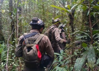 Satgas Operasi Damai Cartenz 2026 Laksanakan Patroli Taktis dan Penyisiran di Yahukimo