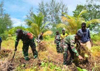 Semangat Gotong Royong, Satgas TMMD Kodim 1710/Mimika Buka Lahan Pertanian Bersama Warga