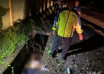 Tabrak Pohon di Jalan Poros Mapurujaya Mimika Pengendara Sepeda Motor Tewas di Lokasi Kejadian