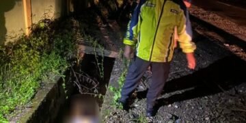Tabrak Pohon di Jalan Poros Mapurujaya Mimika Pengendara Sepeda Motor Tewas di Lokasi Kejadian