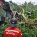 Dua Rumah Tertimpa Pohon di KM 6 Mimika, Relawan Mimika Respon Cepat Bersama BPBD Lakukan Evakuasi