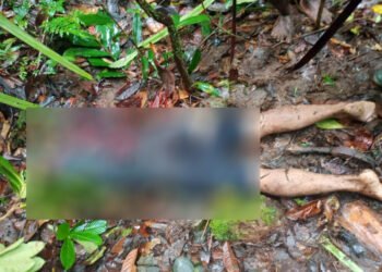 Delapan Pendulang Emas Tewas Dibantai di Korowai Yahukimo
