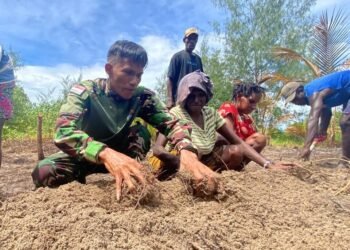 Setelah Pembukaan Lahan Rampung, Satgas TMMD dan Warga Mulai Pembuatan Bedengan