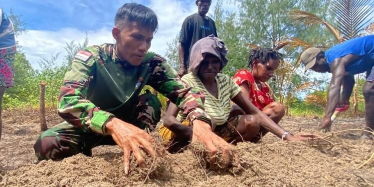 Setelah Pembukaan Lahan Rampung, Satgas TMMD dan Warga Mulai Pembuatan Bedengan