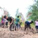 Satgas TMMD dan Warga Gotong Royong, Bedengan Lahan Capai 50 Persen