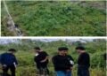 Kejari Mimika Cek Lokasi dan Periksa Tujuh ASN Sidik Dugaan Korupsi Pengadaan Lahan Dinas Perkebunan Mimika
