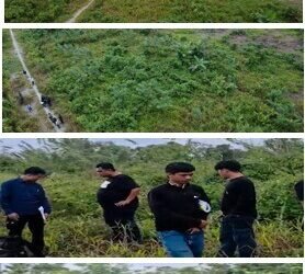 Kejari Mimika Cek Lokasi dan Periksa Tujuh ASN Sidik Dugaan Korupsi Pengadaan Lahan Dinas Perkebunan Mimika