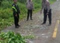 Diduga Terjatuh Usai Tabrak Pohon, Pengendara Motor Tewas Terlindas Kendaraan di Jalan SP 9 Mimika